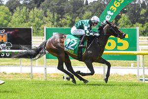 Soft Love, Kyneton 6 November 2024 Soft Love, Kyneton 6 November 2024